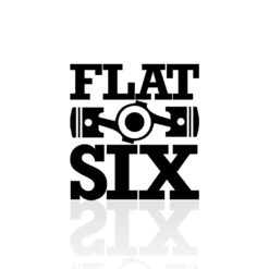 flat_boxer_six