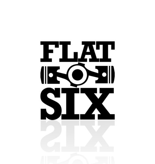 flat_boxer_six