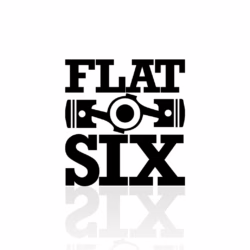 flat_boxer_six